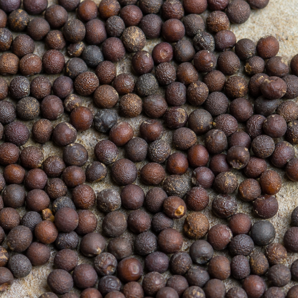 Cabbage Seed